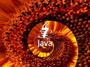 java-7-