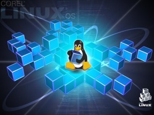 linux