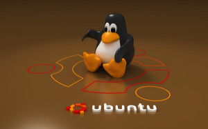 ubuntu12