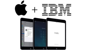 apple_IBM_iPad_IT