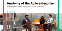 Anatomy of the Agile enterprise