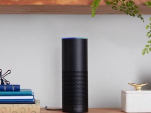 Amazon Echo, Apple