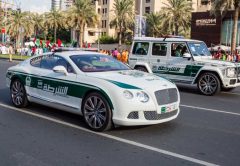 Dubai Police