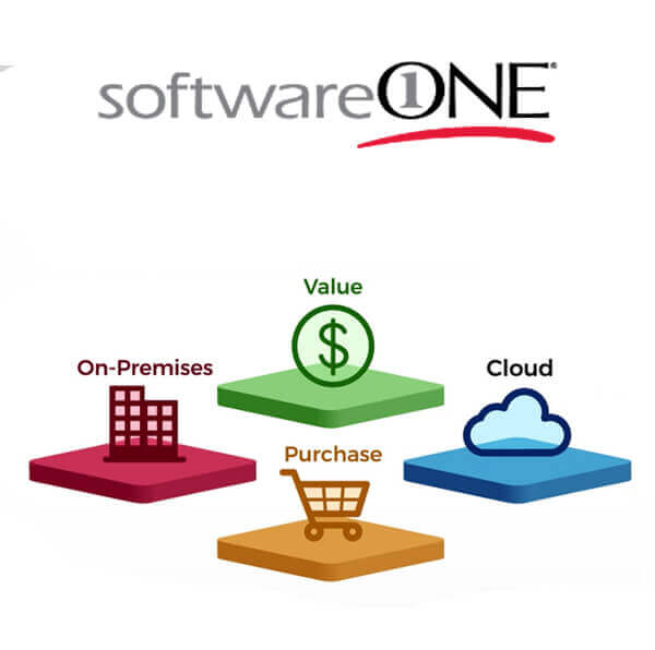 Global Leader in Cloud and Software Portfolio Management