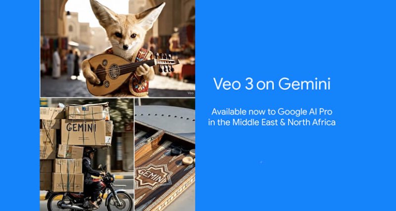 Google WEB