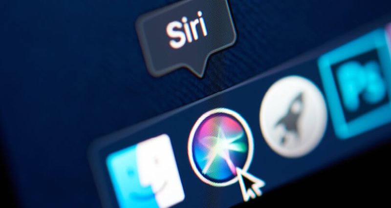 Siri WEB